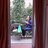 namdhawa's profile image