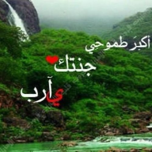 معلمه وحاصله على شهادتي مدرب معتمد TOTومدرب محترف وغايتي ترك بصمه في مجتمعي