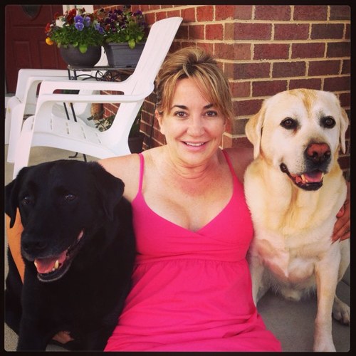 Paws-A-Gogo is a 5 star dog walking/pet sitting business serving Northern Virginia! Mention you found us on Twitter and receive 10% off!