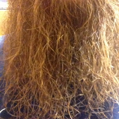 DidHeShave's profile picture. Keeping you up to date on the status of @SuperAgroCraig 's Beard