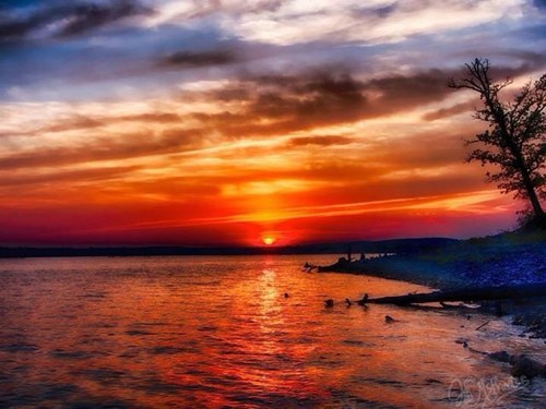 PSUBilly's profile picture. 