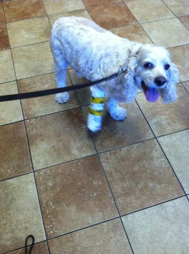 dsmall411's profile picture. 