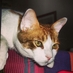 Juan Lopez (@juanlps97) Twitter profile photo