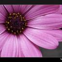 Yolanda Noboa - @Yolynob1390 - Twitter