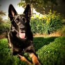 tom rudd - @tomruddphoto - Twitter