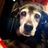 AGDVentures's profile image