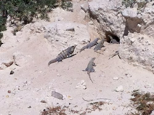 kevmaz34's profile picture. Residential Framing Contractor in Calgary