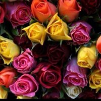 زهرة دخيل الله الجمعه (@zozozo782) 's Twitter Profile
