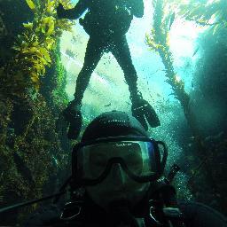bucketlistdive's profile picture. PADI Scuba Instructor living in Southern California.  Loving the ocean and sharing it with everyone.  Looking for a guide or intro to SCUBA?  I'm your guy!