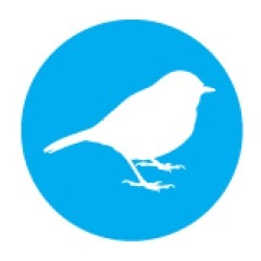 februaryrecs's profile picture. Boston-based DIY pop-music micro-label + “March, April & May” fanzine