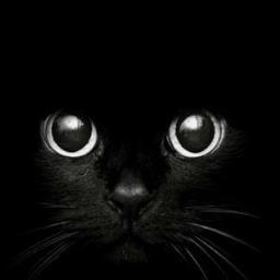 MiguelBarriga9's profile picture. Todologo incansable.