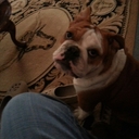 Diana Wright - @dianawright64 - Twitter