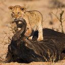 jared adam wrobel - @jared_wrobel - Twitter