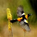 EstelaDeVillarreal - @AngelaEstela66 - Twitter