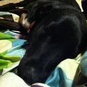 Doris Dunham - @drd14806 - Twitter