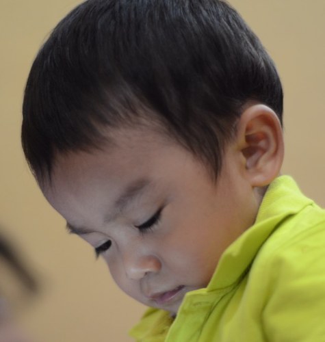 gededayus Profile Picture