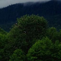 complaint_ks's profile picture. Rocket ship builder, software developer, innovator and mostly just here to complain to a company who's email address I couldn't find.