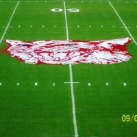 Timmy Moore (@timmymoore1) 's Twitter Profile