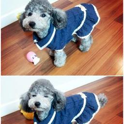 บ็อก บ็อก !! ออเดรย์สุดที่รักของป๊ะป๋ามินจุนเด้อข่ะ ( ^ ^ ) ฟอลมาคุยกับเก๊าเยอะๆน้าาา ♥ ปล.อย่าเล่นแรงนะ..ปวดเข่า -,- 5555555