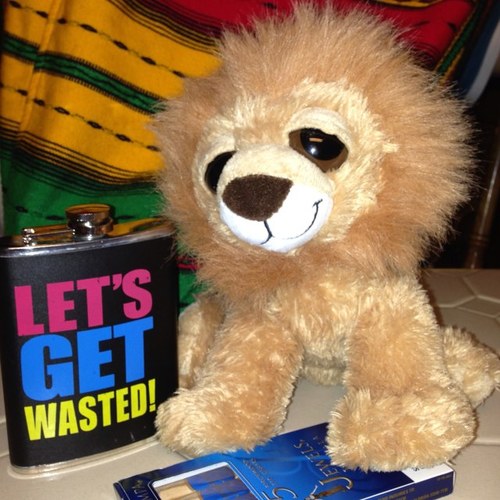 Lioness pussy