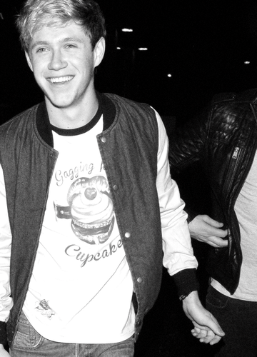 i'm niall. sometimes i get my picture taken and put in magazines. [rp account with @Model_Louis , @Lyricist_Harry , and @Model_Eleanor]