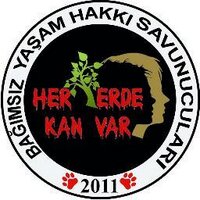 Her Yerde Kan Var (@heryerdekanvar) Twitter profile photo