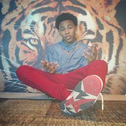 #HeatNation~Just tryin to make it in America.~#ιƒσℓℓσωвα¢к ~