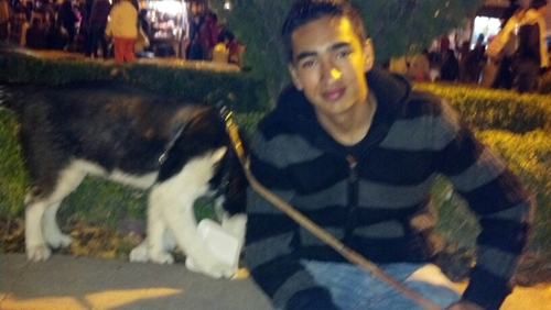 RafaelCODF's profile picture. 