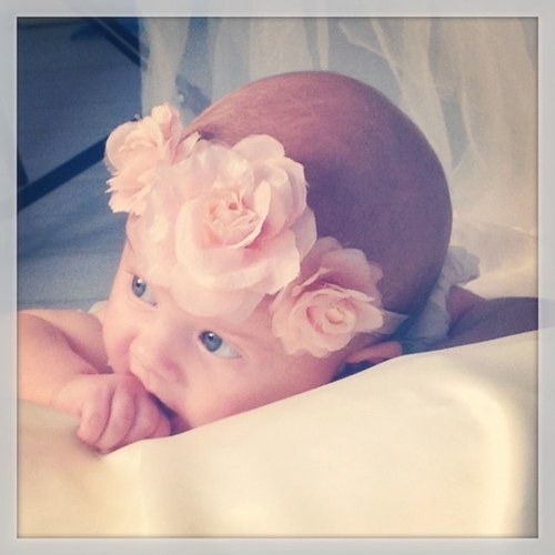 hlwood66's profile picture. 