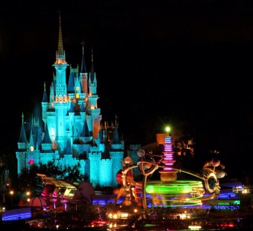 wold_disney100's profile picture. 