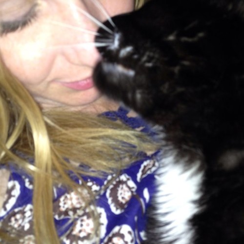 LoriRosmus's profile picture. Catlady, mother of three, dental hygienist. I’m never changing my profile picture because I love the cat in it. She/her.