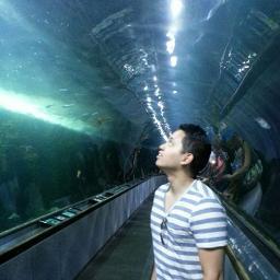 ro_haus's profile picture. 