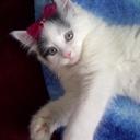 Athena Hryhoriw - @AthenaAshley21 - Twitter