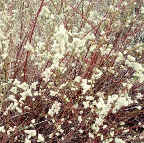 LookGolf8's profile picture. Hi everybody , I'm LookGolf P:) .