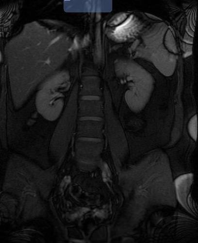 peopleequal's profile picture. errrm, English bloke, one child, one wife, one job, swears a lot