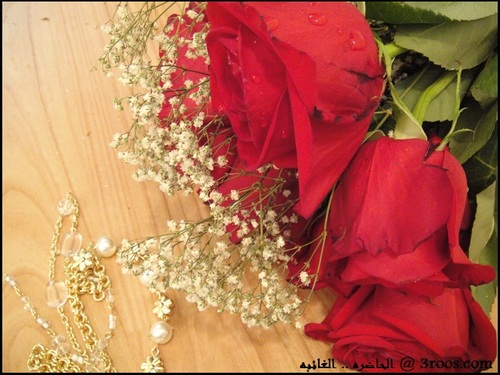 I love my family and the owners of white hearts
I love shopping and trips
I thank God for all the blessings
2sta3far allah