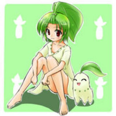 チコリータ 擬人化 Tiko Poke Twitter