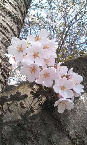 smarton2's profile picture. 나