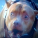 Cornell Manning - @CornellManning1 - Twitter