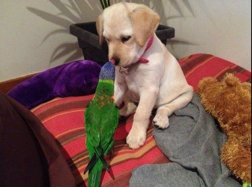 RynevPaul's profile picture. 