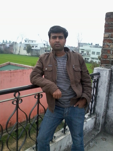 Software Enggineer