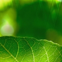 christianpeters - @Christian2go - Twitter