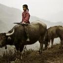 John Later - @JohnLater3 - Twitter