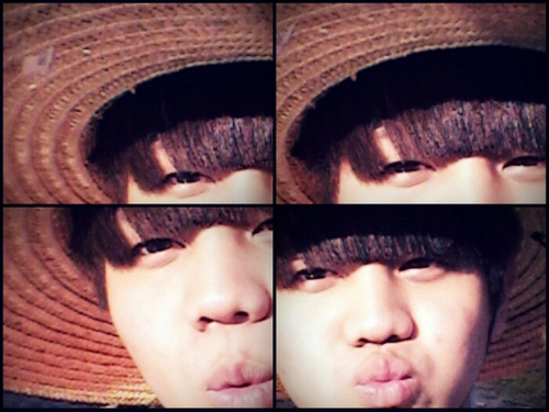Picture