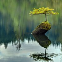 R.Funda Barbaros (@rfbarb) 's Twitter Profile