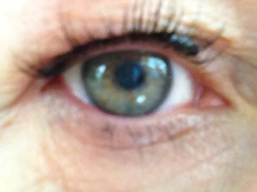 dreefje60's profile picture. 