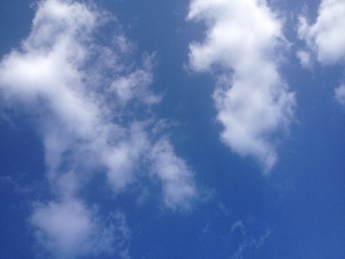 Emy041995's profile picture. Ni repris, ni échangé. Suivez moi à vos risques et périls.