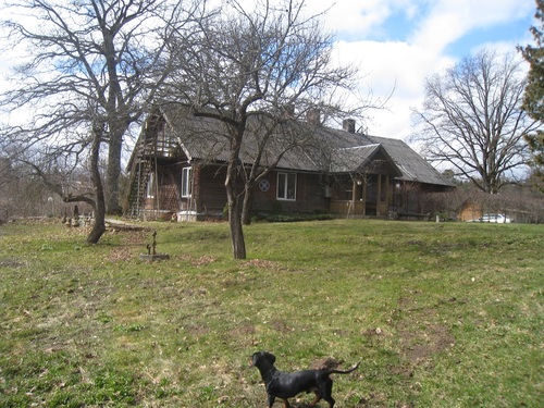 PHSkujas's profile picture. 