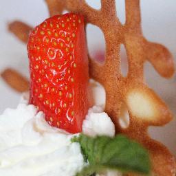 fotographie_'s profile picture. 