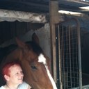 Caryn mcgovern - @suzy3sox - Twitter